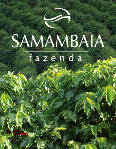 Samambaia Coffee Farm